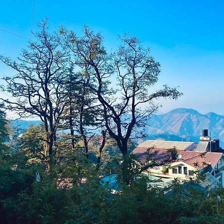 The Travelista Shimla Bed & Breakfast Bagian luar foto