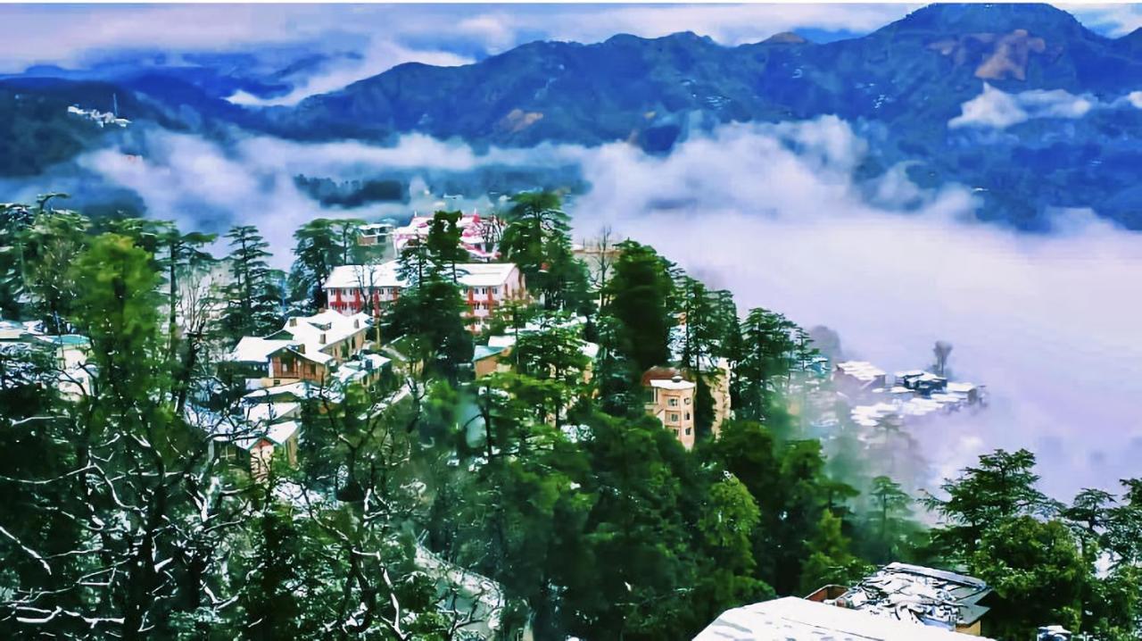 The Travelista Shimla Bed & Breakfast Bagian luar foto